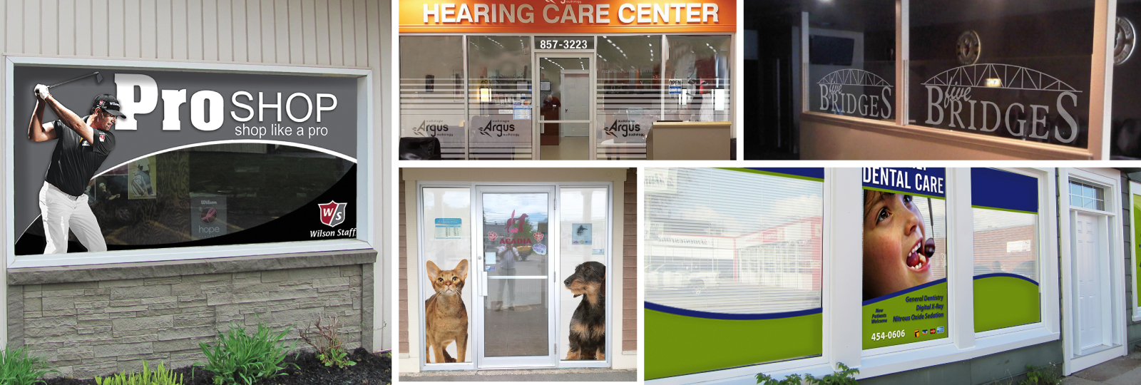 Codiac Printing Inc. Window Wraps